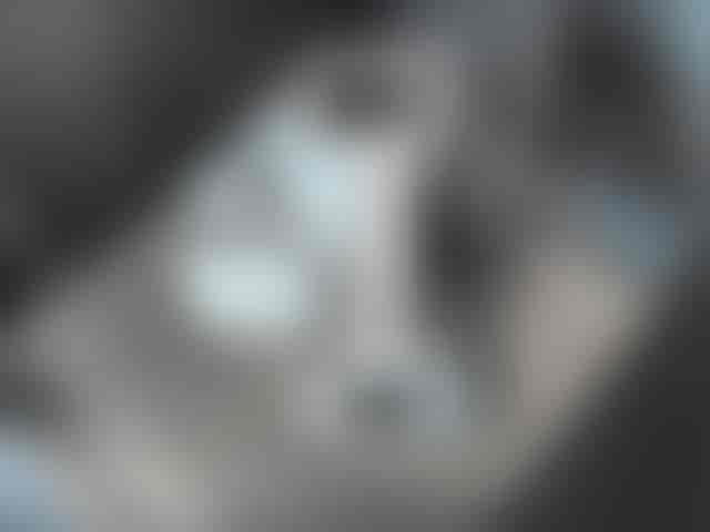 Chamber Camera
